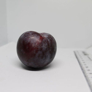 Слива черная