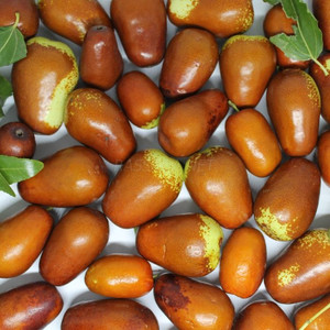 Зизифус (унаби)